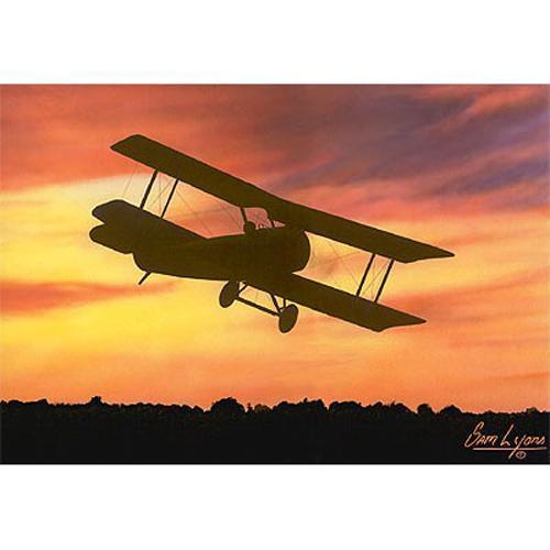 Lyons Studio Artwork & Prints Dawn Flight Limited Edition Sam Lyons Print