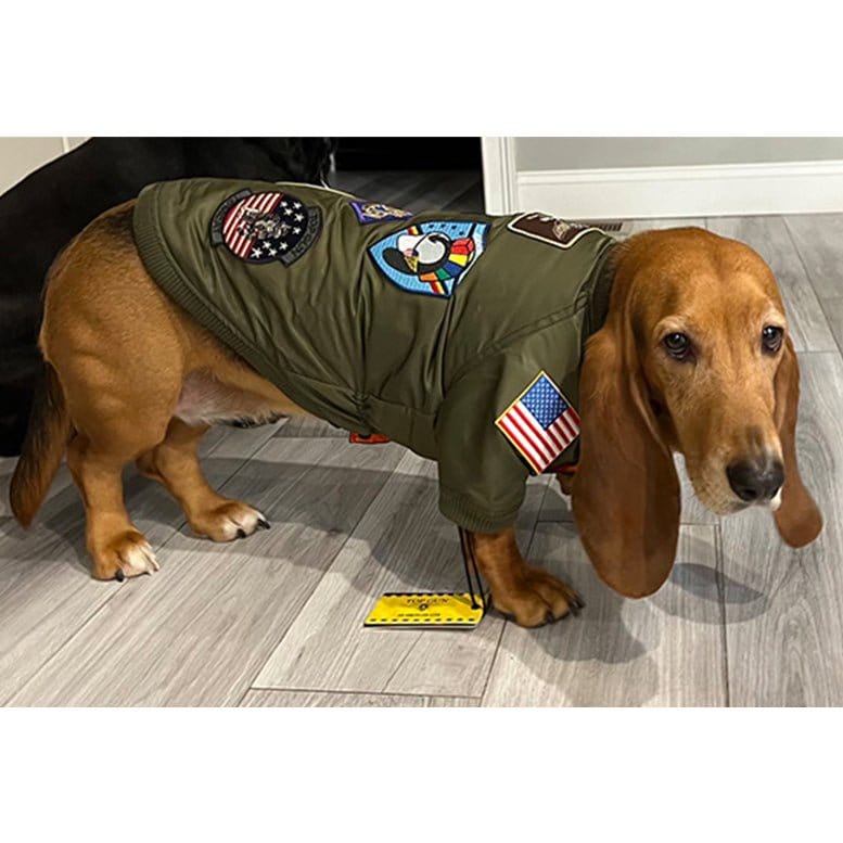 Top Gun Outerwear Medium / Green Top Gun® Official Dog Bomber Jacket