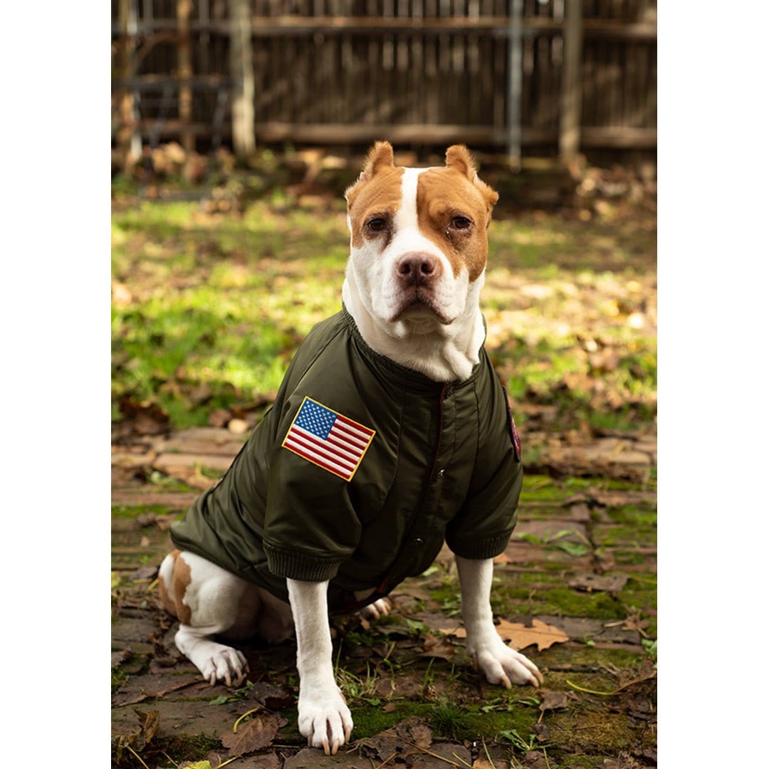 Top Gun Outerwear Small / Green Top Gun® Official Dog Bomber Jacket