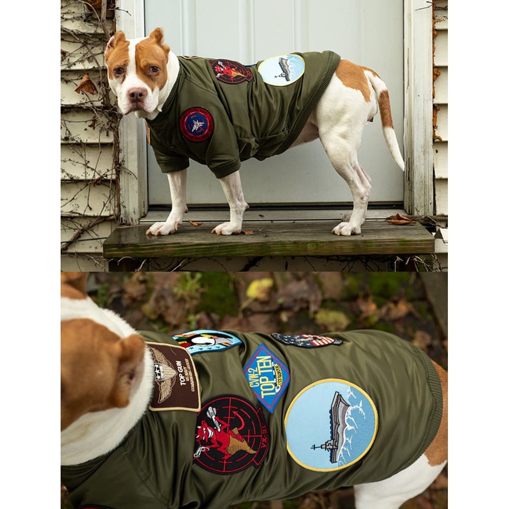 Top Gun Outerwear Top Gun® Official Dog Bomber Jacket