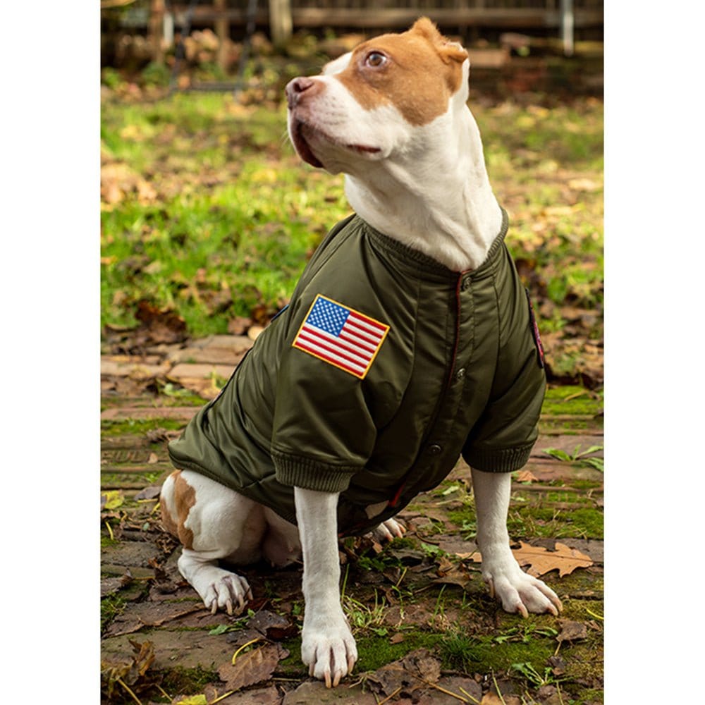 Top Gun Outerwear Top Gun® Official Dog Bomber Jacket