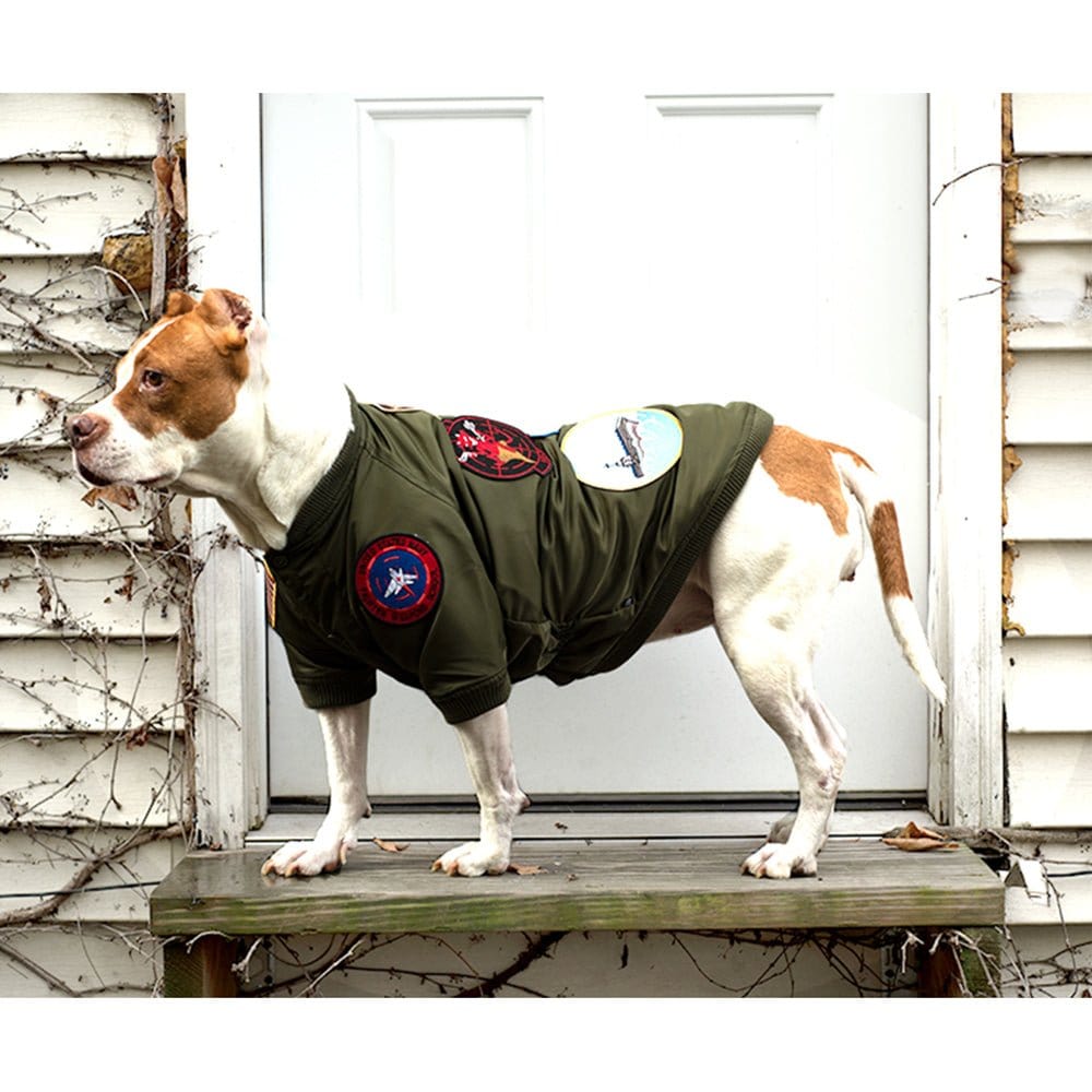 Top Gun Outerwear Top Gun® Official Dog Bomber Jacket