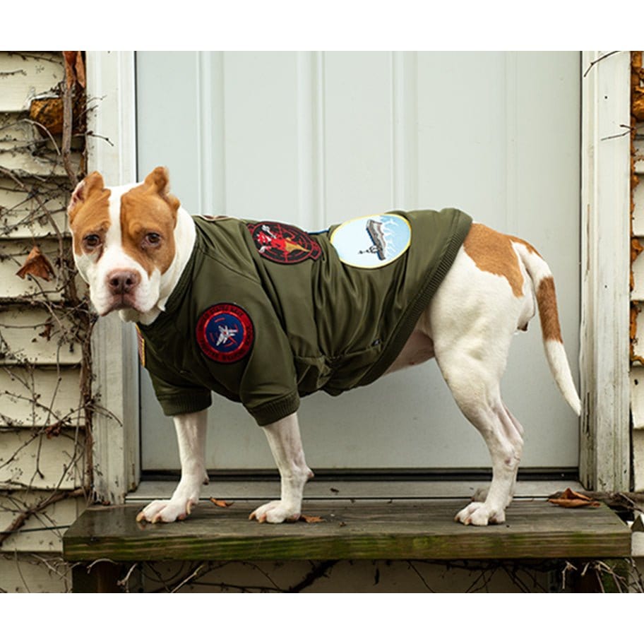 Top Gun Outerwear Top Gun® Official Dog Bomber Jacket