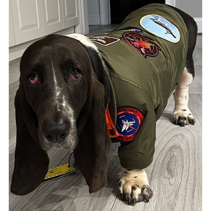 Top Gun Outerwear Top Gun® Official Dog Bomber Jacket